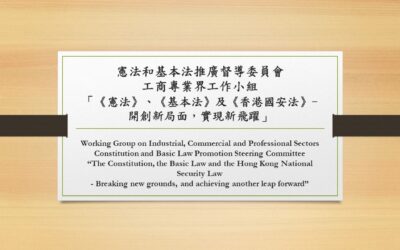 Working Group on Industrial, Commercial and Professional Sectors Constitution and Basic Law Promotion Steering Committee  “The Constitution, the Basic Law and the Hong Kong National Security Law – Breaking new grounds, and achieving another leap forward”